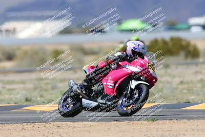 media/Apr-07-2024-CVMA (Sun) [[53b4d90ad0]]/Race 11 500 Supersport-350 Supersport/